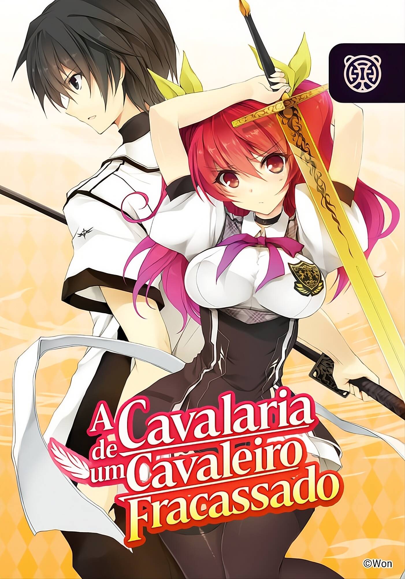 Capa de A Cavalaria de um Cavaleiro Fracassado